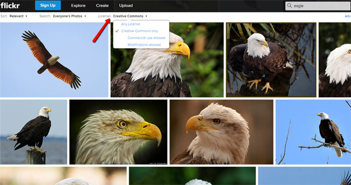 free creative commons images from Flickr