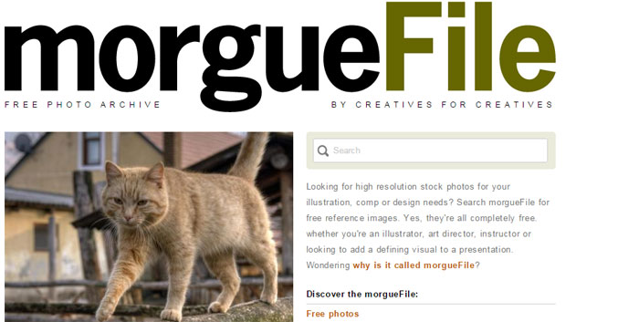 find free images from morguefile